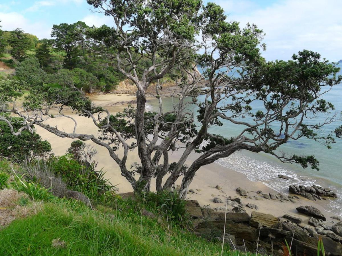 Anglers Lodge Coromandel Dış mekan fotoğraf